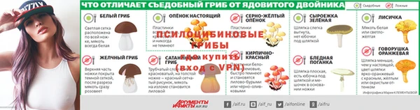 ГАЛЛЮЦИНОГЕННЫЕ ГРИБЫ Богородск