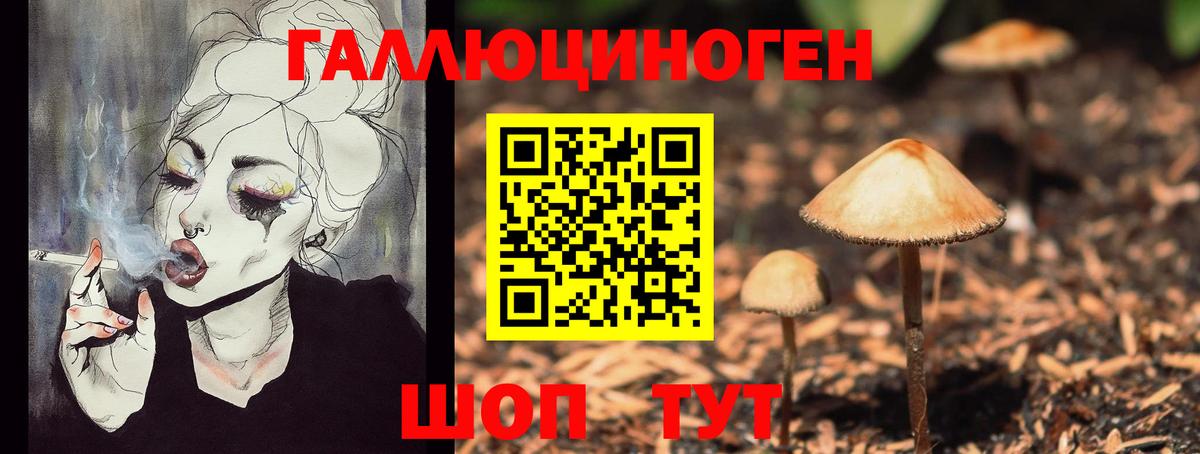 Мурманск  как найти   Галлюциногенные грибы GOLDEN TEACHER  Вход с VPN  Галлюциногенные грибы мухоморы 